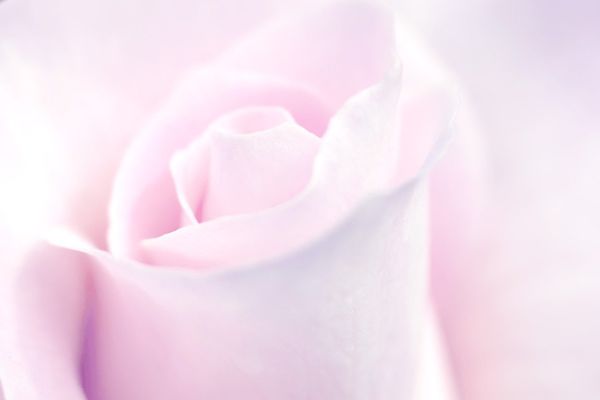 A Few Basics on How to Be Feminine